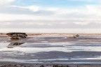 Camargue-Saline de Giraud-Marzo 2018