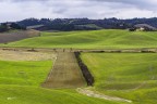 Colline Toscane nel verde.. Colline Toscane nel verde..