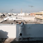 Trepuzzi 2020 - Loggia Trepuzzi 2020 - Loggia