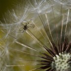 quad_macro_home_Apr2020 quad_macro_home_Apr2020