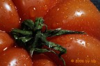 pomodoro???? pomodoro????