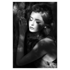 11082013_L1000706-BN 11082013_L1000706-BN