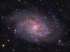 Distante quasi tre milioni di anni luce da noi, nella costellazione del Triangolo, una delle galassie dalle dimensioni apparenti pi grandi osservabili dalla terra.
Strumenti di ripresa: Ottica: Celestron C8HD Edge Ripresa: ZWO ASI 1600MC-C Guida: ASI 120MM Mini su cannocchiale guida 50/168mm.
Accessori di ripresa ZWO ASI Air, riduttore di focale Celestron 0.7x.
Dati di integrazione: 35 light da 180" 17 dark 45 bias e un po' di segnale H-alpha.
Software di elaborazione: PixInsight e Photoshop
