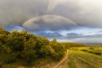 Una situazione surreale sulle colline di un piccolo paese del Sud Sardegna. Il sole che si prepara a scendere sotto l'orizzonte illumina un piccolo e isolato rovescio, generando un mezzo arcobaleno e creando un'atmosfera fiabesca.