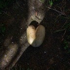 Cuore infranto.. Cuore infranto..