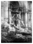 TREVI