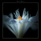 il punto focale il punto focale