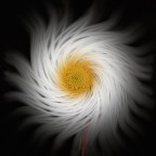 Margherita nel vortice Margherita nel vortice