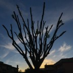 Oggi, all’imbrunire Oggi, all’imbrunire