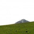 Processo del Verde Processo del Verde