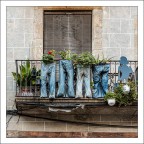 Flora intestinale Flora intestinale