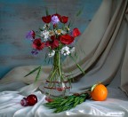 fiori di campo