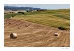 Rotoballe sulle colline Rotoballe sulle colline
