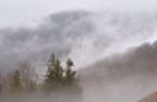 Nebbia sui monti Nebbia sui monti