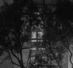 Oltre il giardino Oltre il giardino