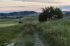 La stradina nella Campagna. 23 La stradina nella Campagna. 23