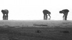 nebbia e ....raccolta molluschi nebbia e ....raccolta molluschi