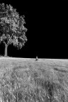 Nel mezzo del cammin di nostra vita.. Nel mezzo del cammin di nostra vita..