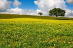 foto di Marino Abbatelli