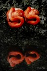 SS