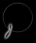 Il cerchio puo essere considerato come un    un poligono regolare con un numero infinito di lati o anche,    come  il limite di un poligono regolare con un numero  n di lati che tende all' infinito. Non ha principio ne fine e, simbolicamente, si associa al concetto di eternit. E' il simbolo per eccellenza di ci che  spirituale, il suo movimento circolare evoca la ciclicit della vita e quello infinito ed invariabile del cielo