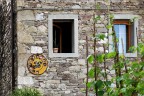 Pesariis (UD) img.036
