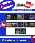 433 Contest: Free4U Votazione in corso...