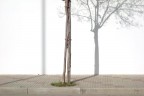 St St