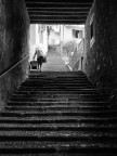 Verso la fine