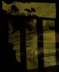 La luce della Luna attraverso una finestra giunge su un quadro per creare questa forma di una testa scultorea!