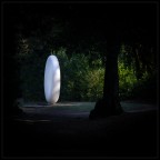 sueño en la foresta sueño en la foresta