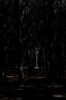 Terra di mezzo Terra di mezzo