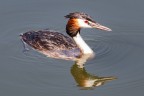 Riserva Naturale di Leczczok in Polonia