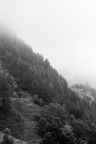 Nebbia B.N.