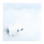 Nascondino Nascondino