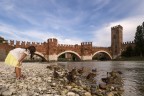 Verona Verona