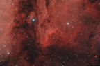 La nebulosa Pellicano, nella costellazione del Cigno.