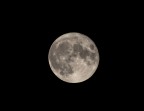 La luna piena ha sempre il suo fascino La luna piena ha sempre il suo fascino