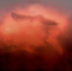 delinearsi delinearsi