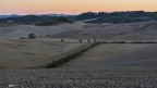 All'alba nelle colline toscane.. All'alba nelle colline toscane..