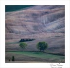 La casetta tra le onde - Val D'orcia La casetta tra le onde - Val D'orcia