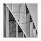 Bird watching Bird watching