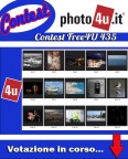 435 Contest: Free4U Votazione in corso...