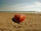 spiagge spiagge