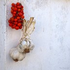 Sapori mediterranei