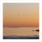 Allineamenti inversi Allineamenti inversi