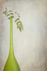 Foglie con vaso verde Foglie con vaso verde