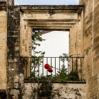 senza titolo senza titolo