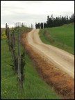 Campagna toscana... Campagna toscana...