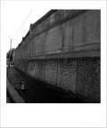 prova polaroid